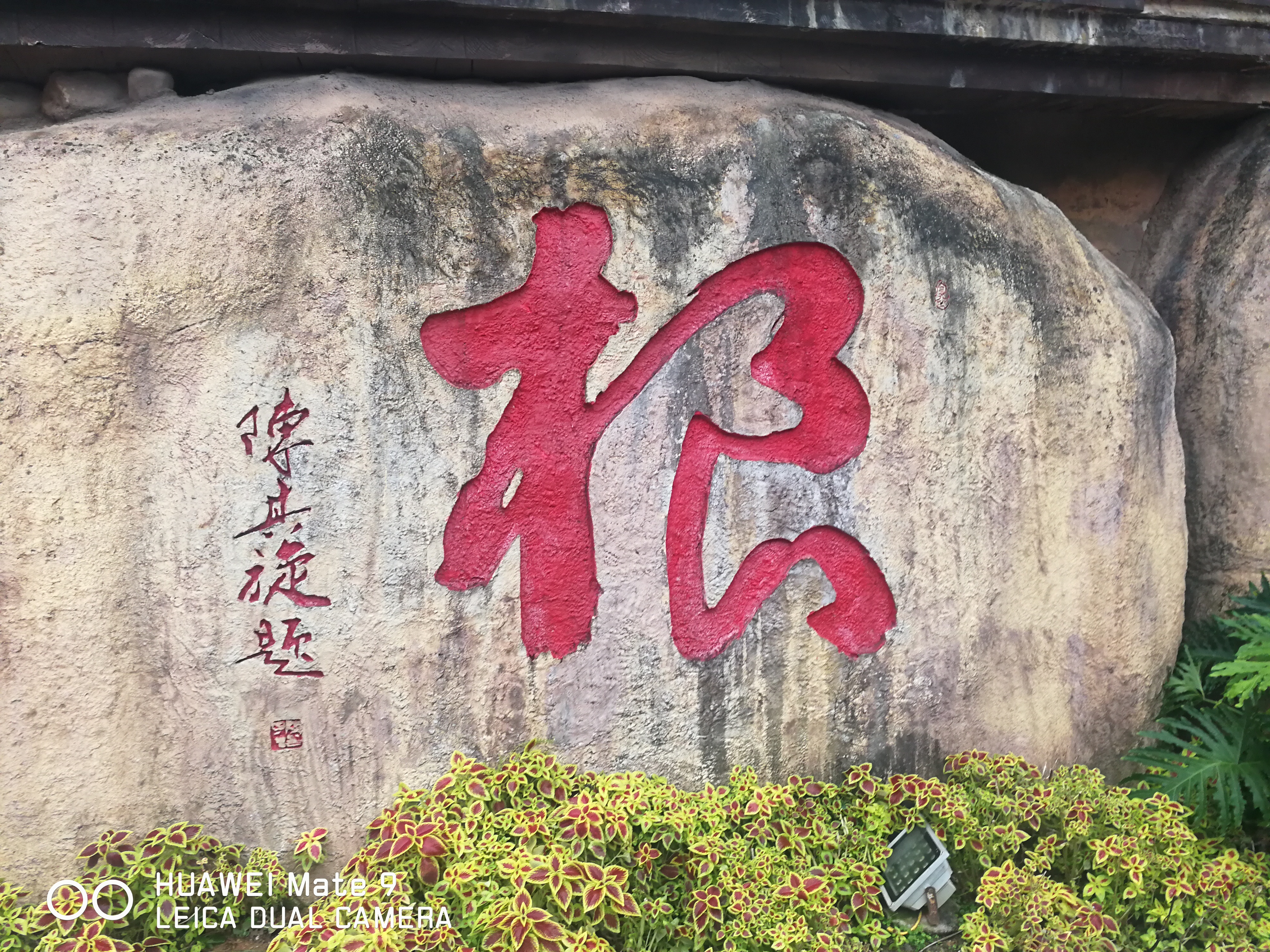 陈其旋(图13)