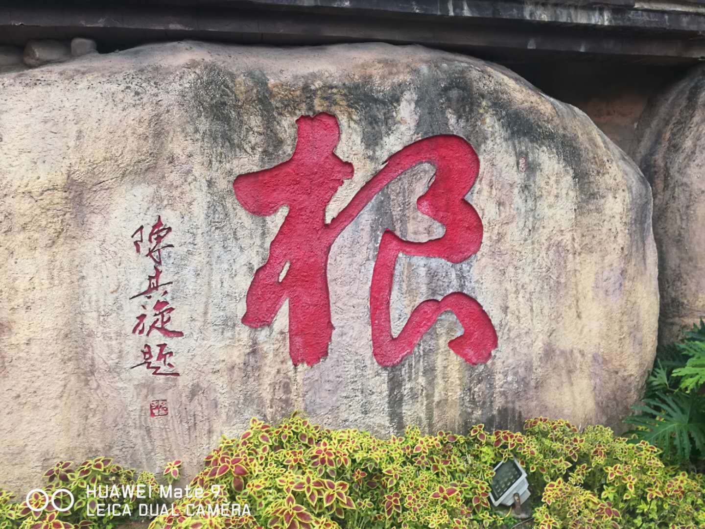 陈其旋(图7)