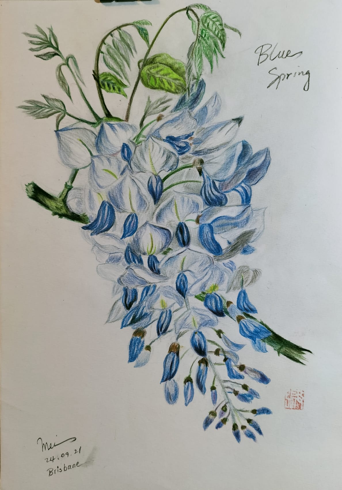 三八国际妇女节中澳女书画家书画作品云展——春天的故事(图67)