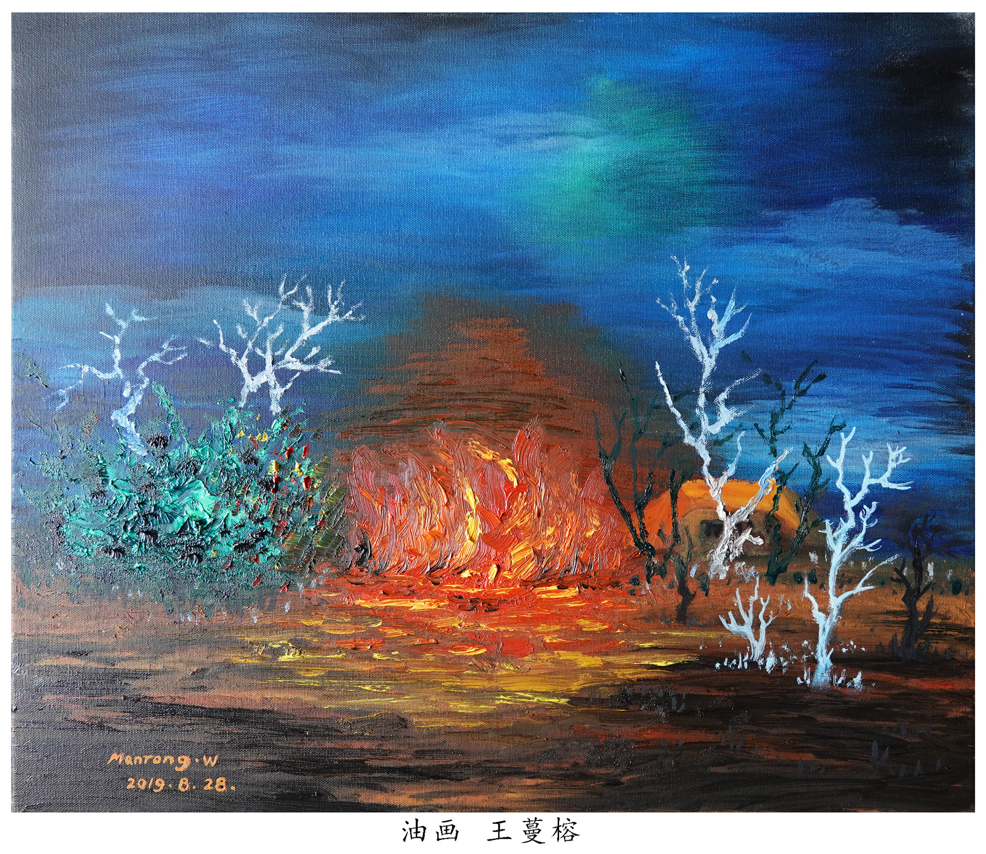中澳建交50周年世界华人艺术家书画展(图24)